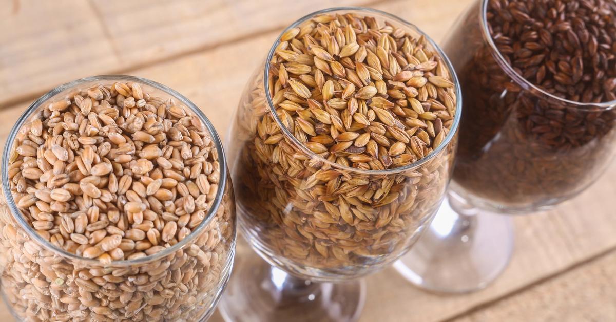 MatrixTechInc's tweet card. From farm to fermenter—see how smart engineering lays the foundation for every great spirit.