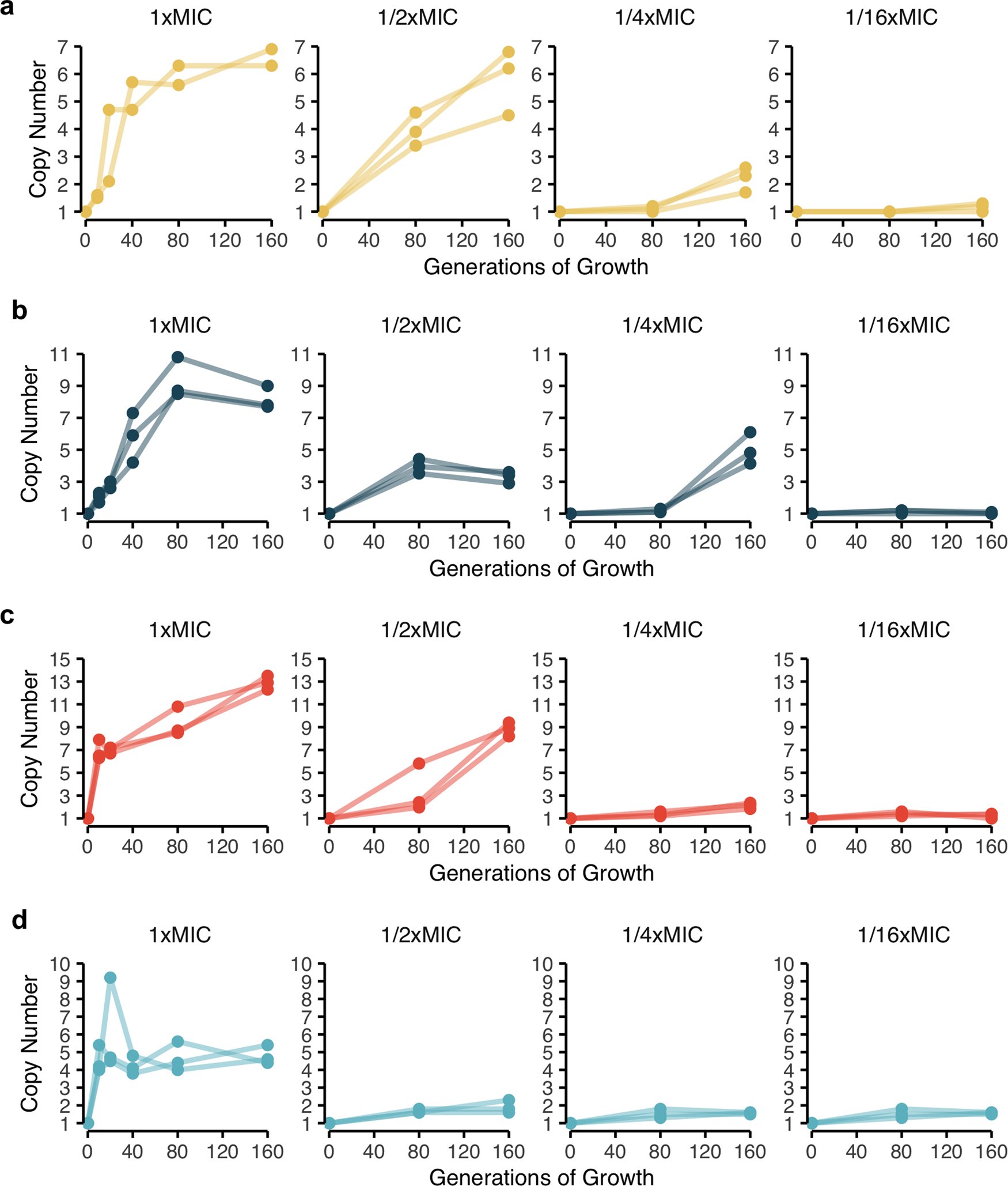 BEELab_IISc's tweet card. Communications Biology - Bacterial populations can show heteroresistance, where an antibiotic resistant subpopulation is part of a susceptible one. Pereira et al. show in Escherichia coli and...