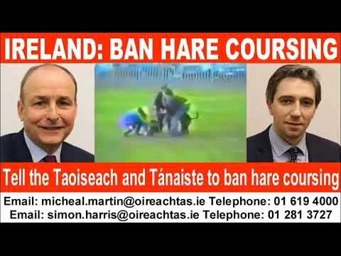 banbloodsports's tweet card. Tell the Irish Government to Ban Cruel Hare Coursing