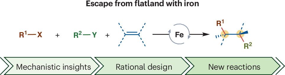 MJKoh87's tweet card. Nature Synthesis - Three-component, iron-based catalytic transformations offer a promising and sustainable approach to building complex molecules in a single step. This Review highlights advances...