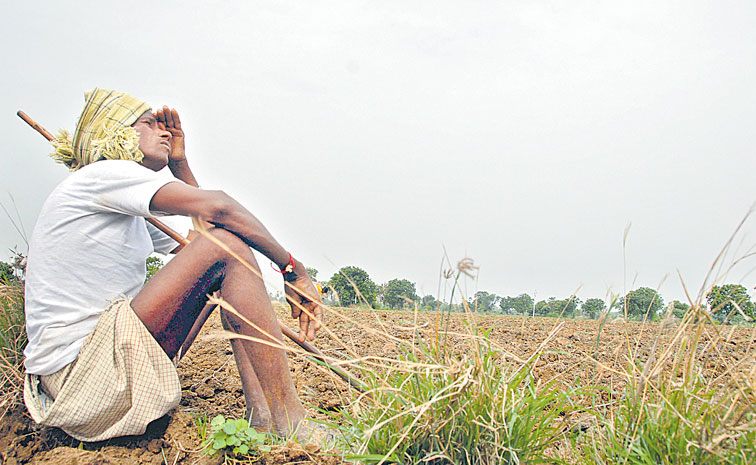 sakshinews's tweet card. ఈ నిధితో ధరల స్థిరీకరణ ఎలా సాధ్యమవుతుంది?