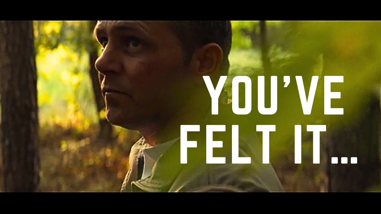 YodaKnows3's tweet card. How They Broke us All - ⚠️ WARNING: GRAPHIC