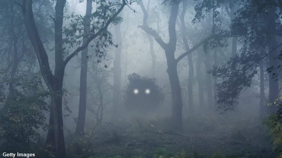 AProdigiosus's tweet card. A nightmarish photo purportedly taken by a camper in England shows what appears to be some kind of eerie entity that is perched in a tree and seemingly watching over her.