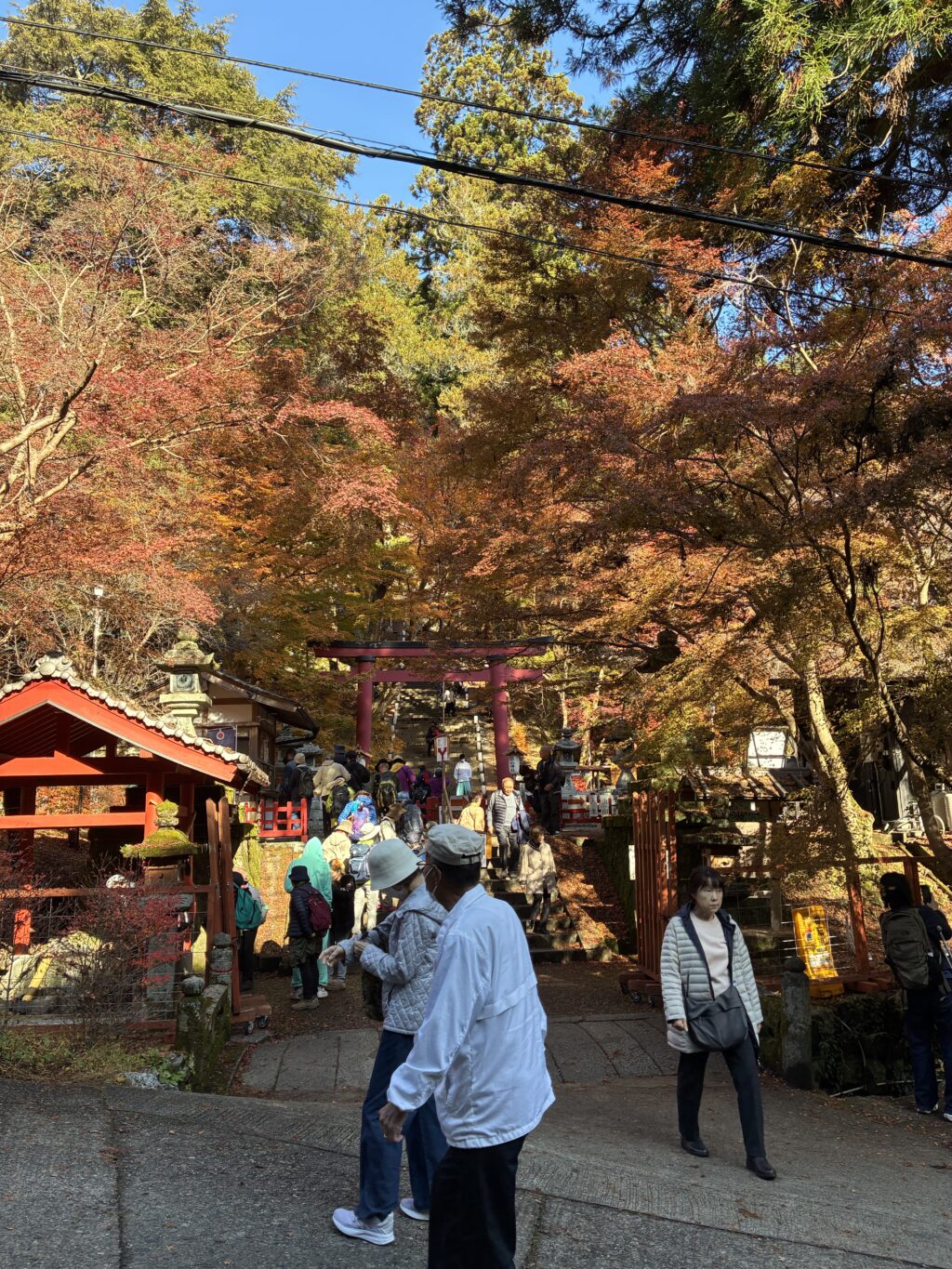 valen_vino's tweet card. 2025年11月下旬、奈良県桜井市の談山神社と聖林寺へ。紅葉の終盤の様子や、リニューアルした聖林寺観音堂で360度鑑賞できる国宝・十一面観音像の魅力を現地レポートでお届けします。