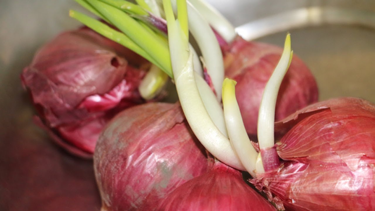 DBTipsOnline's tweet card. सिर्फ 3 बार रात में या दिन में ये पिलो पथरी जड़ से निकाल देगा, Pathri...