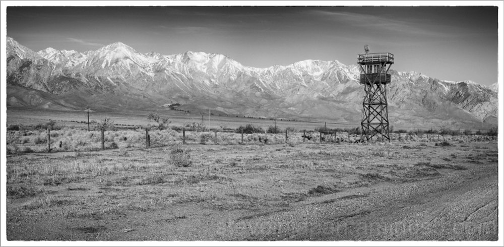 DanRiceWrites's tweet card. Read the books "the man" says are dangerous. Be a rebel! Read banned books! Think dangerous thoughts!