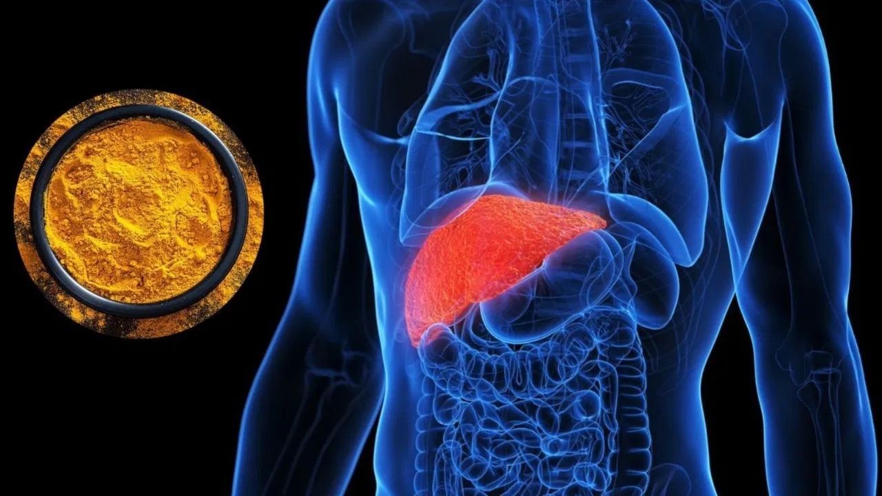 TV9Punjab's tweet card. Liver Diseases: ਲਿਵਰ ਦੇ ਨੁਕਸਾਨ ਨਾਲ ਕਈ ਗੰਭੀਰ ਬਿਮਾਰੀਆਂ ਹੋ ਸਕਦੀਆਂ ਹਨ। ਸਭ ਤੋਂ ਆਮ ਸਮੱਸਿਆਵਾਂ ਫੈਟੀ ਲਿਵਰ, ਹੈਪੇਟਾਈਟਸ, ਸਿਰੋਸਿਸ ਅਤੇ ਲਿਵਰ ਫੇਲ੍ਹ ਹੋਣਾ ਹਨ। ਫੈਟੀ ਲਿਵਰ ਵਿੱਚ, ਲਿਵਰ ਦੇ ਸੈੱਲਾਂ ਵਿੱਚ ਚਰਬੀ ਇਕੱਠੀ ਹੋ ਜਾਂਦੀ...