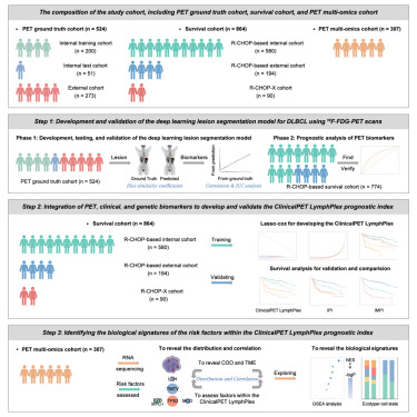 CellRepMed's tweet card. Wang et al. develop a clinical-imaging-multi-omics prognostic index for diffuse large B cell lymphoma by integrating quantitative PET/CT biomarkers, genetic subtypes, and clinical risk factors. By...