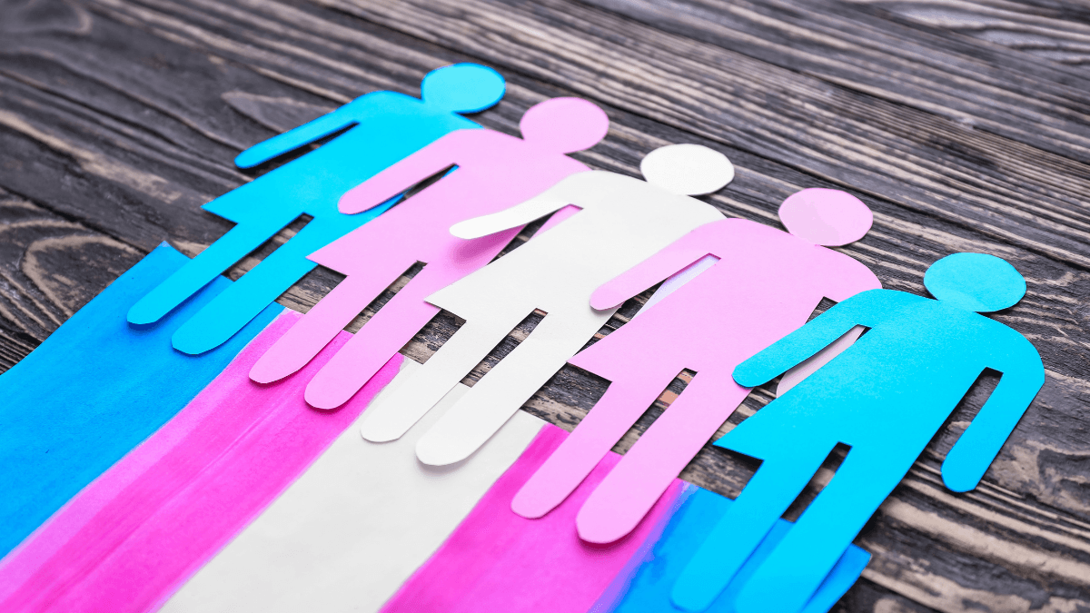 Sechat_Oficial's tweet card. A cannabis medicinal tem ganhado espaço como aliada no tratamento hormonal de pessoas trans, ajudando no sono, na ansiedade e no bem-estar