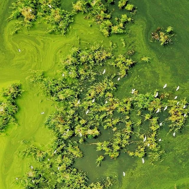 FlightModePro's tweet card. Content & Exposure (@flightmodepro) • Instagram photo