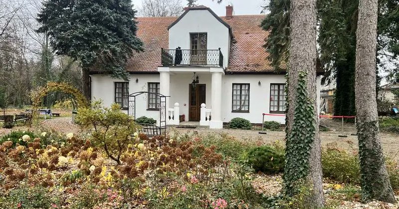 Tweet card summary image