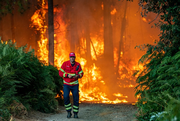 zweigrosen's tweet card. 7월28일. 인류는 오늘부로 지구의 1년치 자원을 모두 소모했다. 내일부터 연말까지 무려 156일 동안 우리는 미래 지구에 빚을 내고 살아가게 된다. 글로벌 생태발자국 네트워크(GFN)에 따르면 인류는 28일부로 지