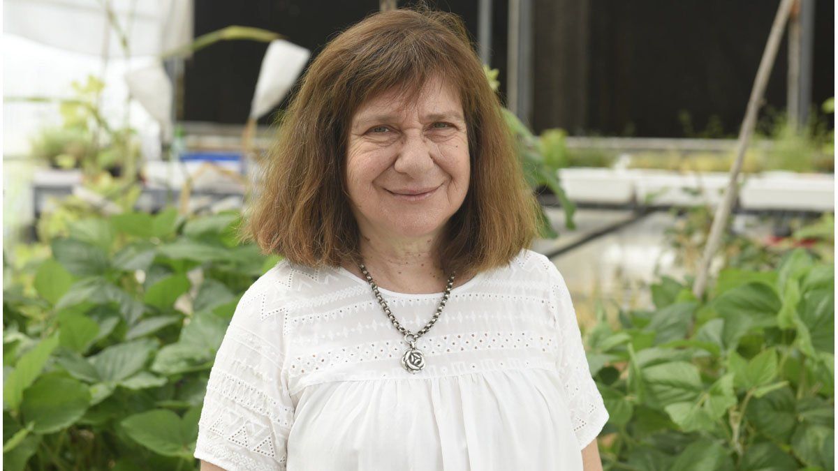 LABRA_IMAL's tweet card. La reconocida investigadora santafesina, Raquel Chan, se pronunció sobre las denuncias realizadas por investigadores del Conicet Santa Fe, quienes alertaron sobre una situación casi terminal.