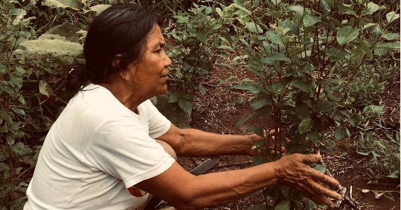 Tweet card summary image