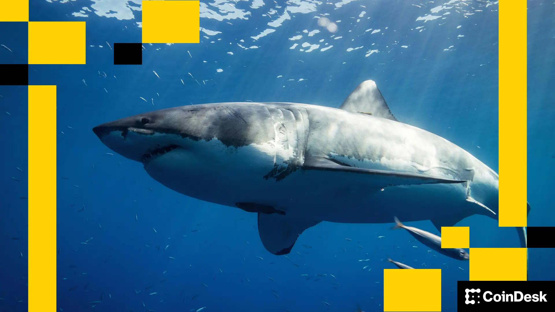 sergey_nog's tweet card. Though Ethereum is still the preferred platform among institutions for asset tokenization, DeFi apps and stablecoin creation, it faces threats that will erode its edge if it doesn't move to meet the...