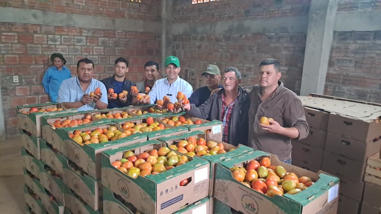 Capexpy's tweet card. CORONEL OVIEDO. Tomateros del departamento de Caaguazú lograron exportar este año 90 mil kilos de tomates de primera calidad a la Argentina, y se espera que en los próximos días más cargas del...