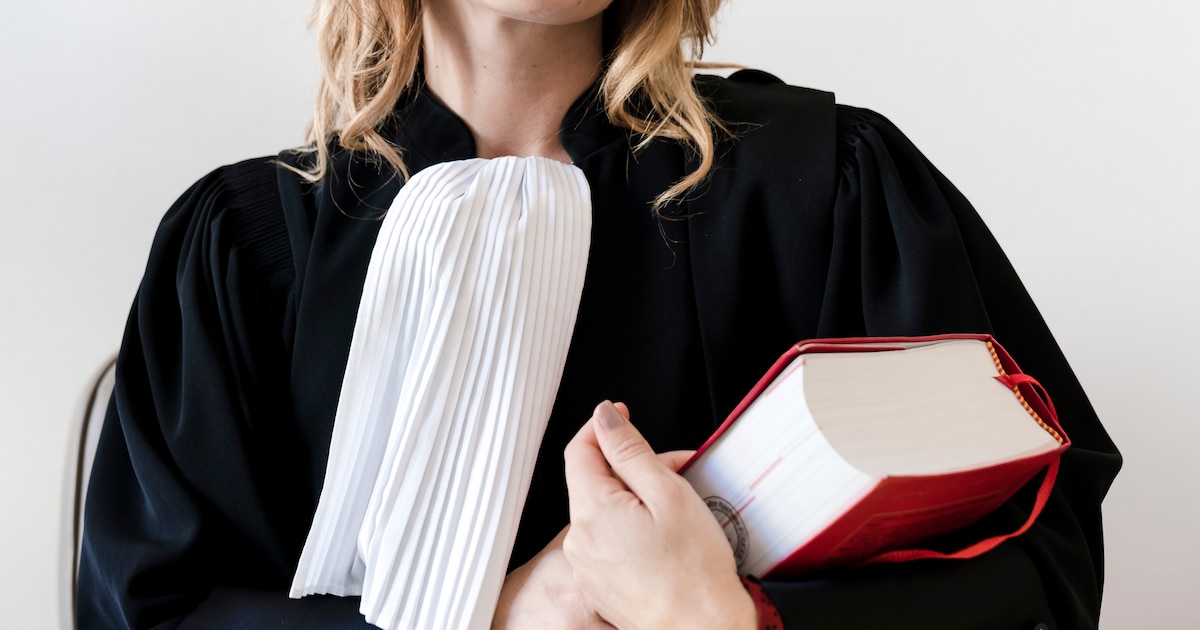 Basdevos's tweet card. Een vrouwelijke advocaat is geschrapt omdat zij maar liefst vierhonderd vonnissen heeft verzonnen en zo meer dan 1 miljoen euro kon declareren bij de Raad voor Rechtsbijstand. Zij had dat geld nodig...