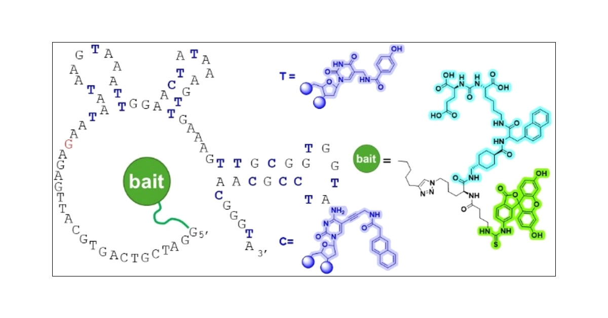 perrinlab's tweet card. We report a selection strategy for linking a drug-pharmacophore to a degenerate DNA library for use in cell- and whole-animal systematic evolution of ligands by exponential enrichment (SELEX) to...