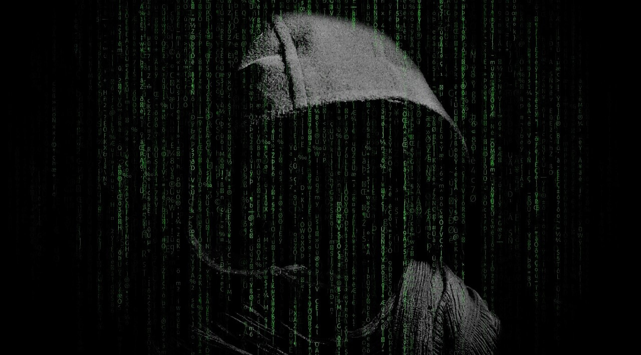 ProConceptServ1's tweet card. L'impressionnante liste de données hackées a été publiée sur un forum de piratage bien connu des cybercriminels.