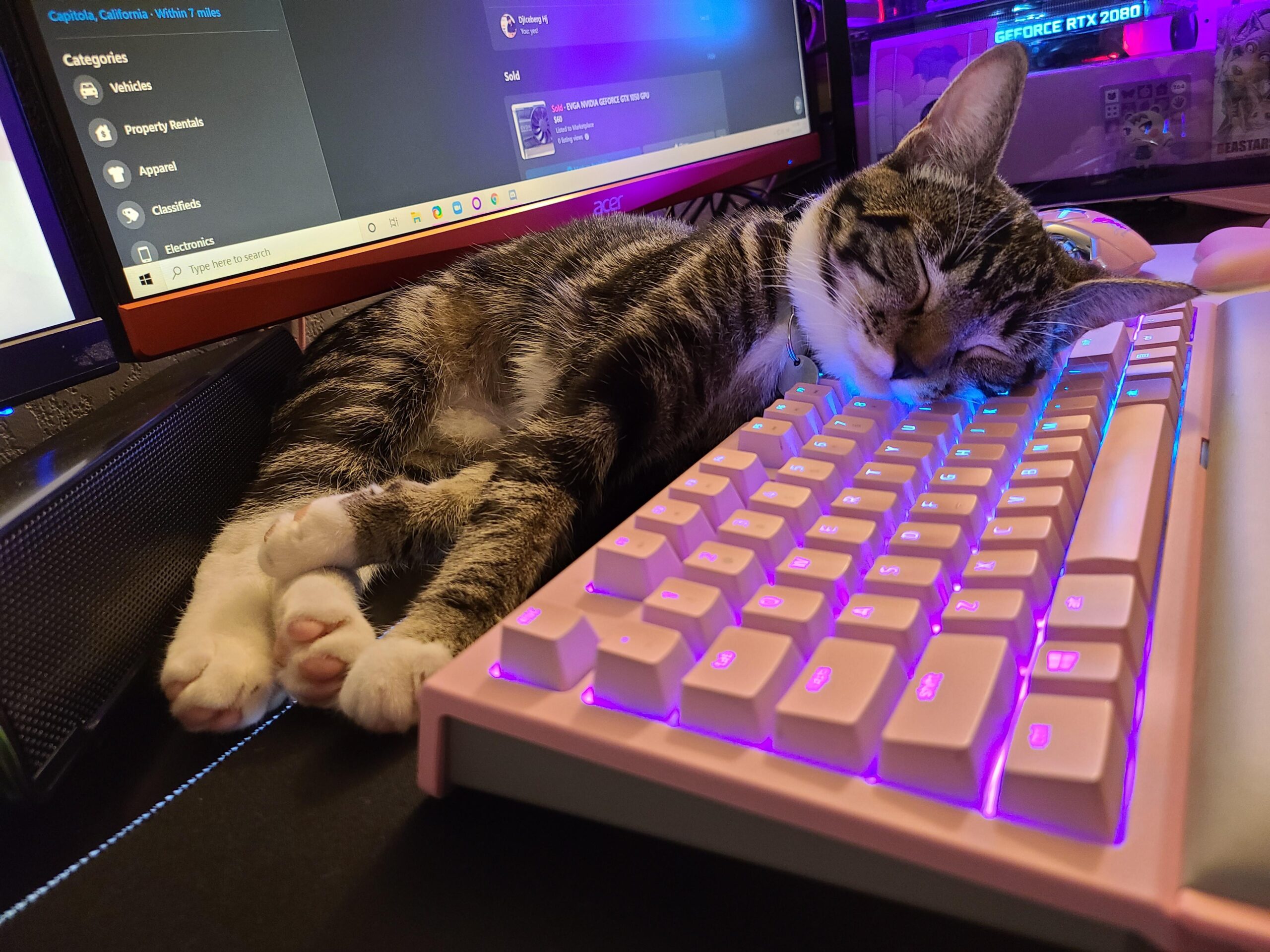 mattbdevaney's tweet card. Power Automate can be used to display a web-page or even a single-page web application in a web browser by returning HTML code.