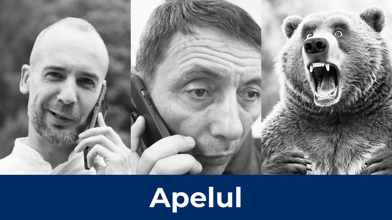 DNSC_RO's tweet card. Apelul