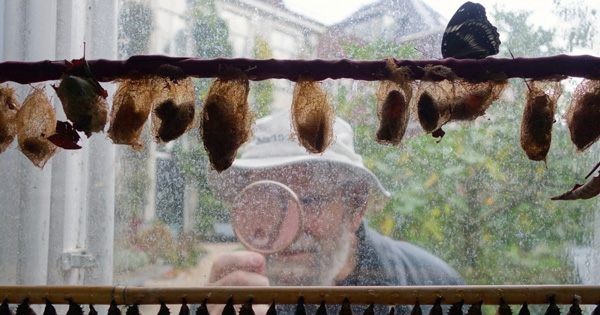 themarginalian's tweet card. “I have been a sentient being, a thinking animal, on this beautiful planet, and that in itself has been an enormous privilege and adventure.”