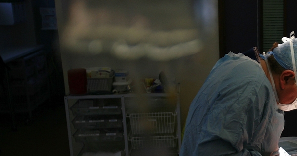 DrPerezBernal's tweet card. Un estudio internacional, liderado por investigadores españoles, acerca la posibilidad de que muchos riñones no trasplantables con los criterios actuales, puedan ser reparados en el futuro utilizando...