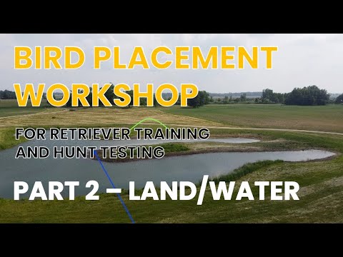 CleanRunFilms's tweet card. BIRD PLACEMENT WORKSHOP - BIRD PLACEMENT IN RETRIEVER TRAINING AND...