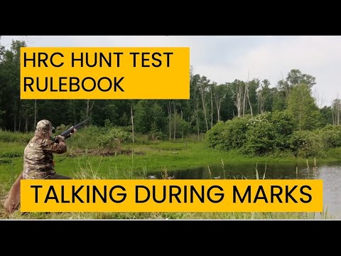 CleanRunFilms's tweet card. HRC HUNT TEST RULEBOOK - TALKING DURING MARKS