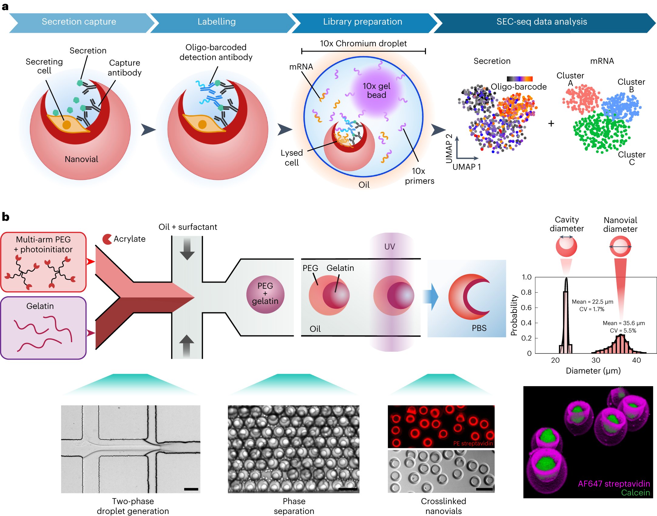 PlathLab's tweet card. Nature Nanotechnology - Using hydrogel nanovials to capture single mesenchymal stromal cells and their growth factor secretions, the authors link cell secretion to the transcriptome for thousands...