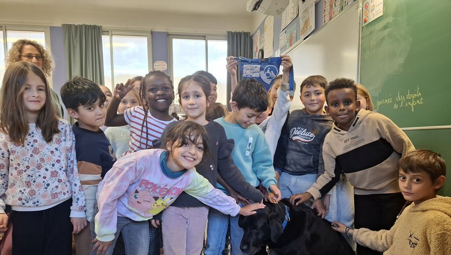 PompiersDuLot's tweet card. Le labrador Lol, premier chien d’assistance judiciaire en France, a captivé les élèves de l’école Chapou. À dix ans, ce chien a aidé des centaines de victimes à s’exprimer. Bientôt retraité, il...