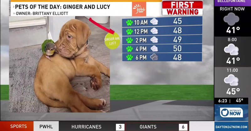 Tweet card summary image