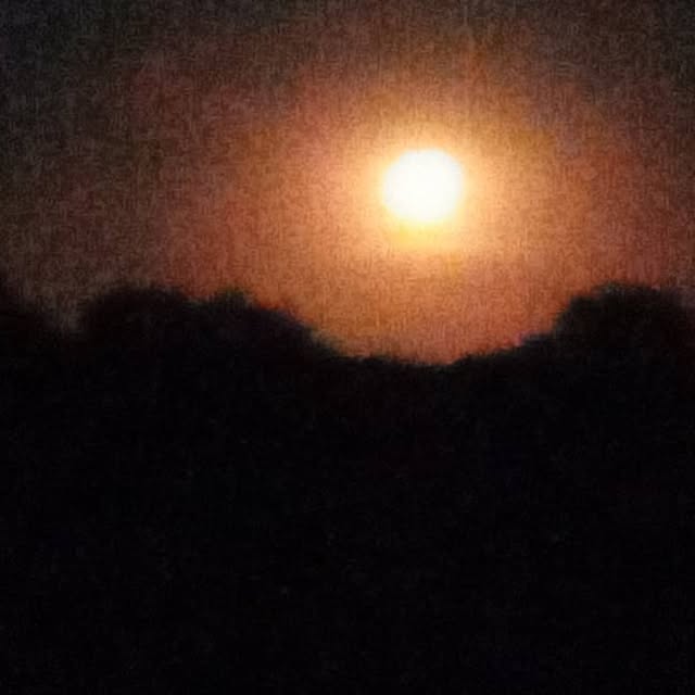 CSchoals's tweet card. Chas Schoals (@chasschoals) • Instagram photos and videos