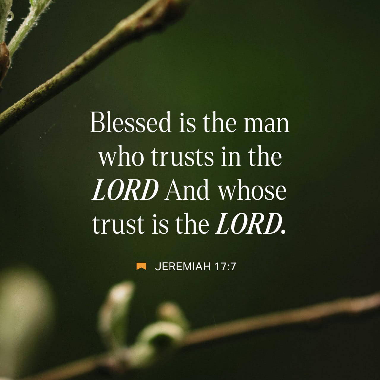mstazz13's tweet card. Blessed is the man that trusteth in the LORD, and whose hope the LORD is.