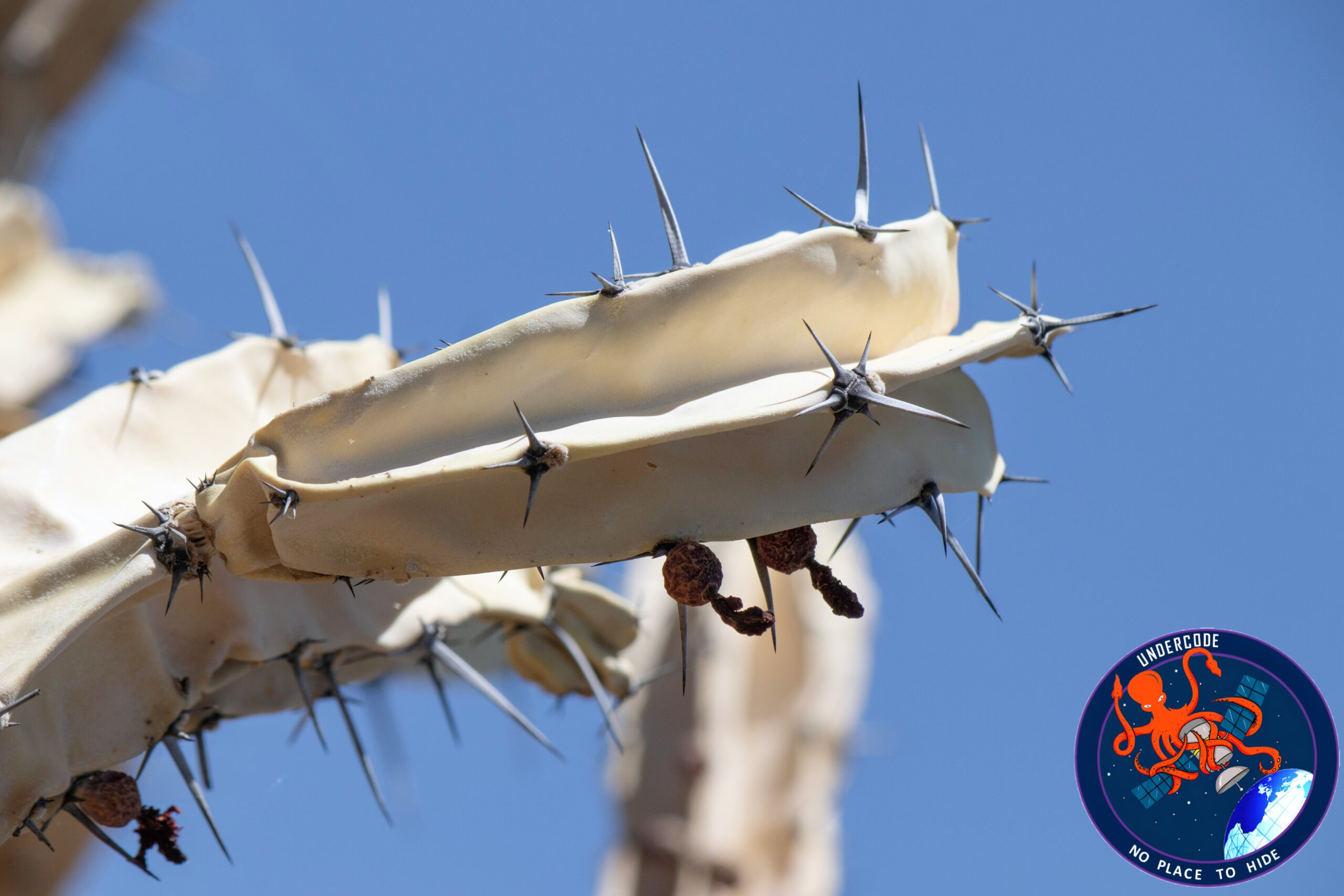 UndercodeNews's tweet card. A newly uncovered security flaw inside Apache SkyWalking, one of the most trusted open-source application performance monitoring tools, has sent a wave of