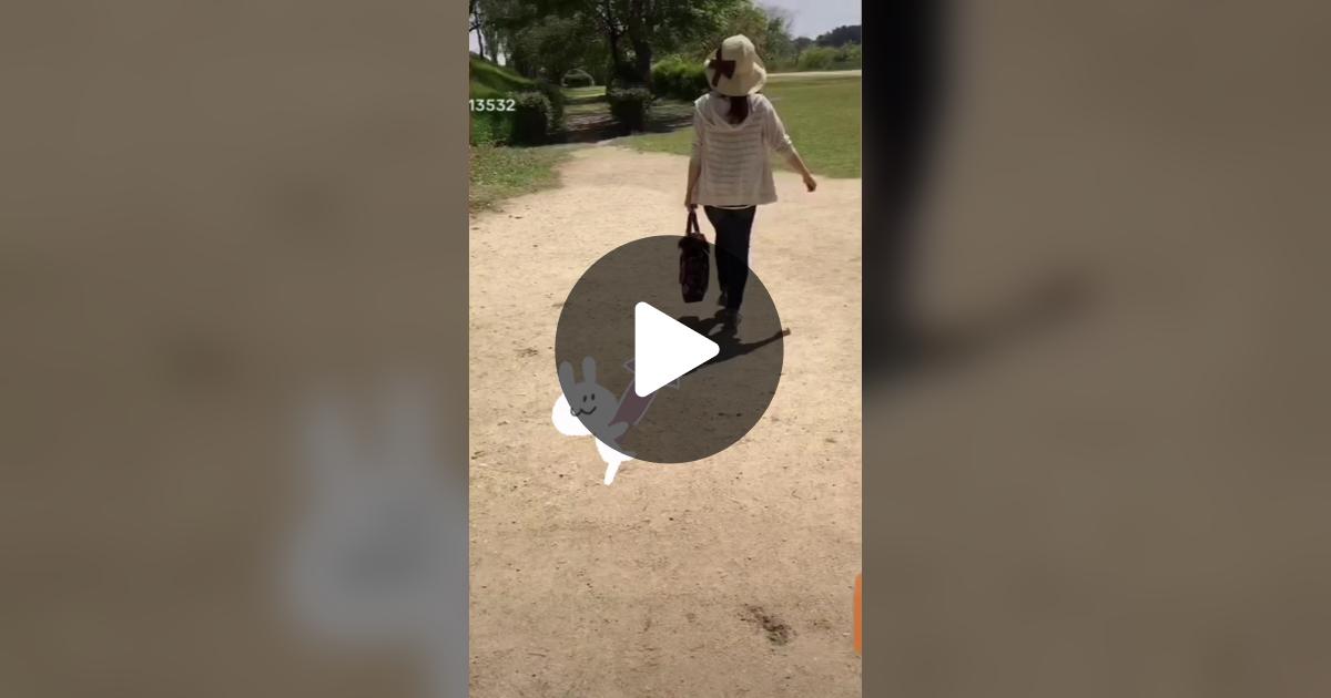 vimoko982's tweet card. 「いいね」が58件、コメントが2件。「#かわいい犬 #ダックス」