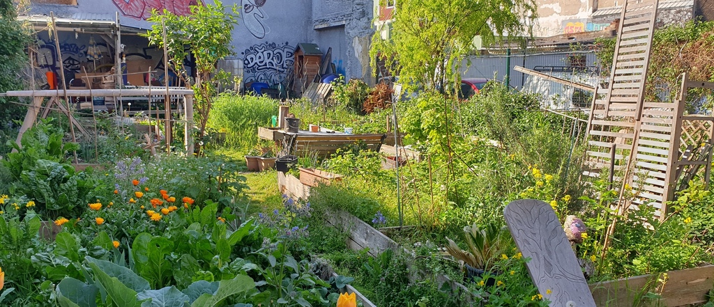 IsabelleGrosse's tweet card. Vous aimez la nature ? Ça tombe bien, nous aussi ! Nous, nous sommes les adhérent.e.s et membres de l'association Tant qu'on sème qui gère le jardin partagé de 250 m2, situé au 26 rue Paul Bert,...