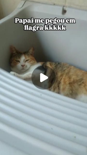 AJSoares435765's tweet card. Dicas Da Lovezinha | Superação (@dicasdalovezinhaoficial) • Instagram reel