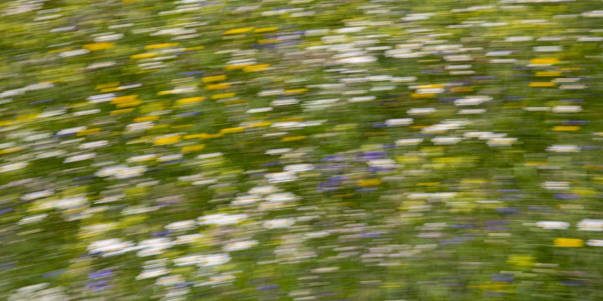 TheFP's tweet card. This past summer, I threw my phone in a drawer and headed for the mountains of Montana. That's true. It's also a metaphor.