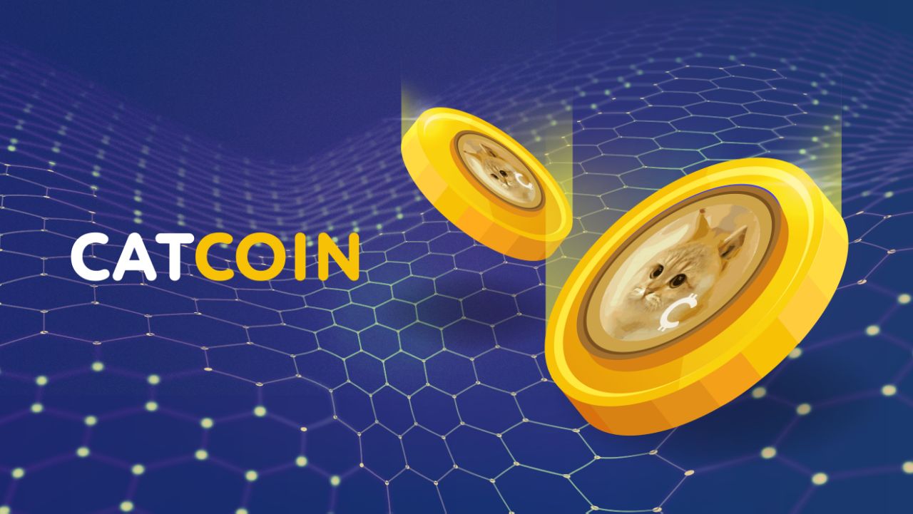 catcoin's tweet card. CATCOIN Token price today, CAT to USD price, marketcap