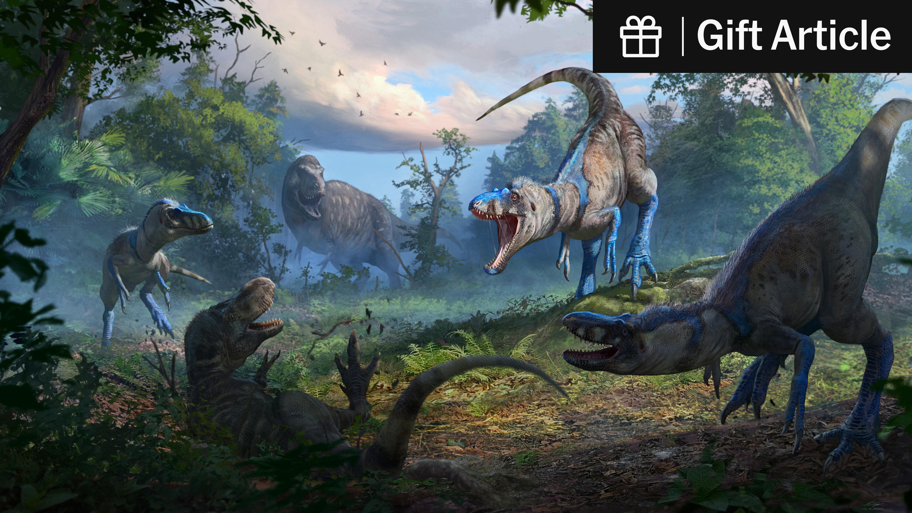 TomHoltzPaleo's tweet card. Did certain small tyrannosaur fossils belong to “teen rex” or another species? New analysis of a recent fossil appears to have settled the debate.