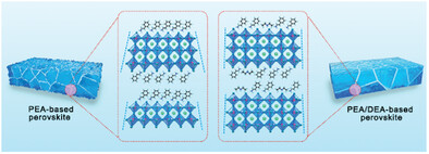 muller_group's tweet card. Mixed spacer cations [diethylamine (DEA+) and phenethylamine (PEA+)] favor the formation of homogeneous low-dimensional tin perovskite phases with three octahedral monolayers (n = 3), especially...