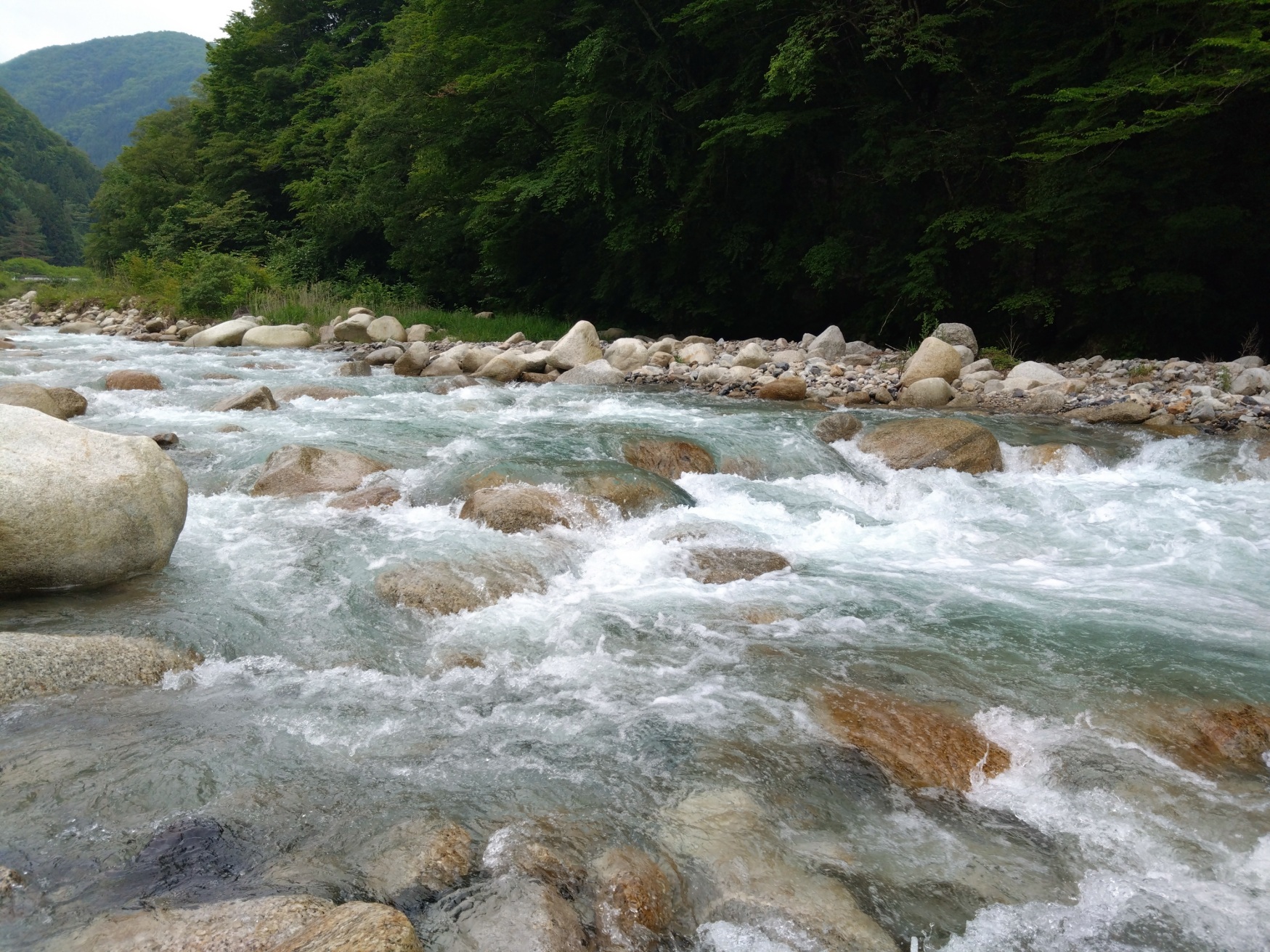 Fuji_reactivity's tweet card. 総務部Yです 雨が降り水位が上がると魚の活性も上がり 良く釣れるようになります 雨上がりの早朝　阿智村の渓へ　 あまごの塩焼き　美味しく頂きました 老眼で釣り糸がなかなか結べなくなってきました(笑)