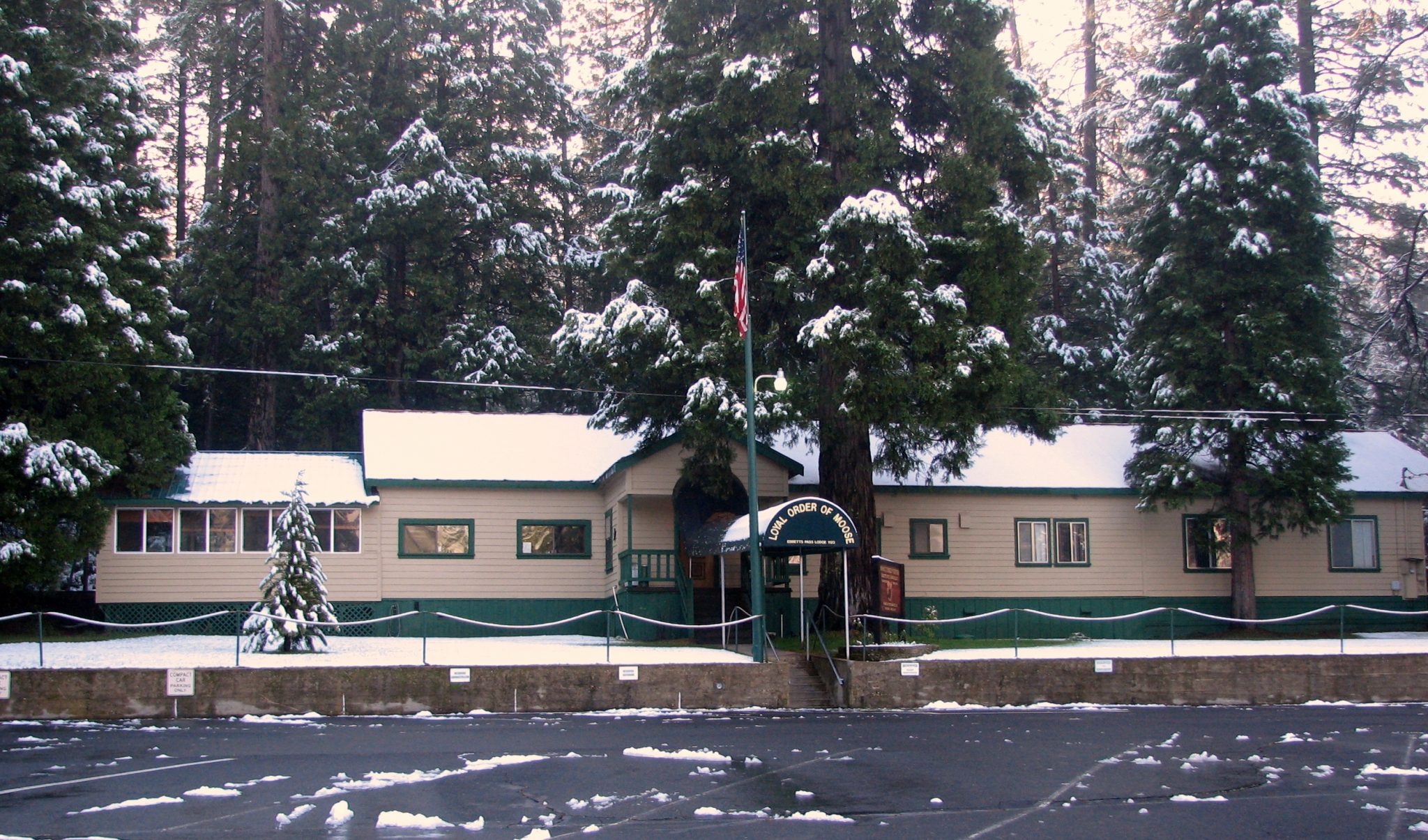 ThePineTree's tweet card. Arnold, CA…Ebbetts Pass Moose Lodge is hosting its annual free community Thanksgiving Dinner on Thursday, November 27 from 1 – 4 p.m. Dinner will be served in the lodge dining room. Delivery …