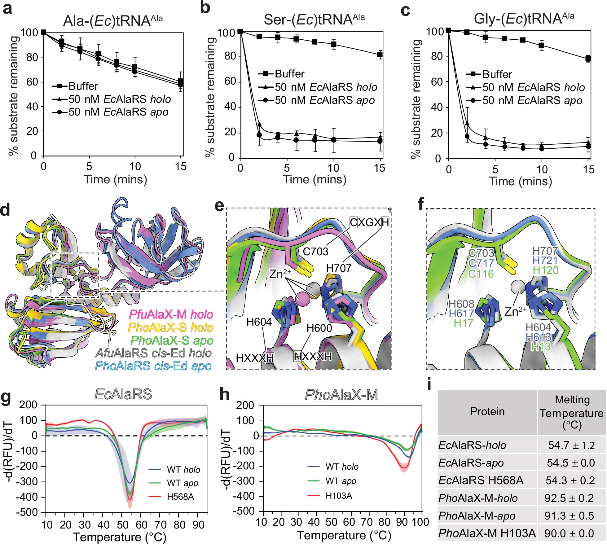 Sankar_Lab's tweet card. Nature Communications - The editing domains of AlaRS (AlaRS-Ed) and ThrRS (ThrRS-Ed) are homologous, yet they differ in sensitivity to reactive oxygen species (ROS). Here, the authors reveal the...