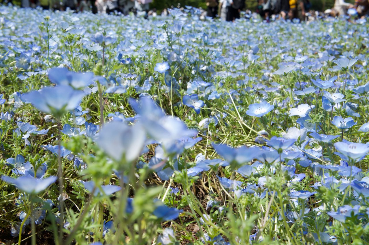 taguchi_study's tweet card. なんと去年に連続して、今年も設計ナイトをやります！2年連続開催！ しかも武蔵野公会堂ホールでのオフライン開催！ そして「発表者が今興味がある設計の話」以外の縛りは無し！ ## 日時・会場 * 会場: 武蔵野公会堂 ホール * 日時: 7月25日(金) 18:30開場、19:00イベントスタート ## 発表者／発表内容 ### タイムテーブル 時間 | 内容 | 担当者 | 時間(分)...