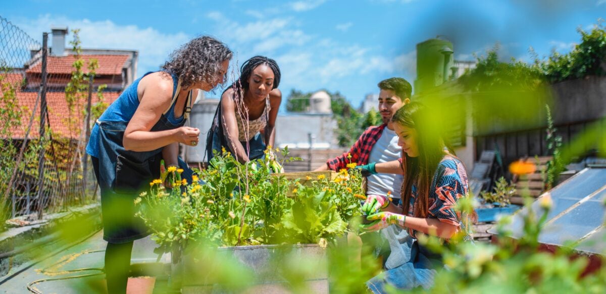 TechNetCentral's tweet card. How Tech is Transforming Local Communities – TechNet