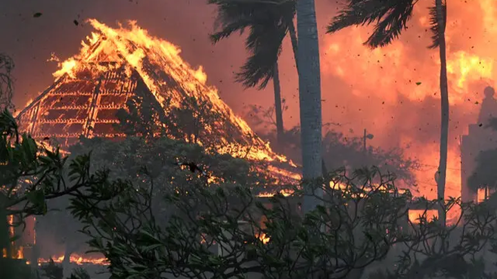 patrickwardle's tweet card. Aloha Friends, Recently our home island of Maui was devasted by catastrophic wildfires. T… Patrick Wardle needs your support for Maui Wildfire Relief Fund