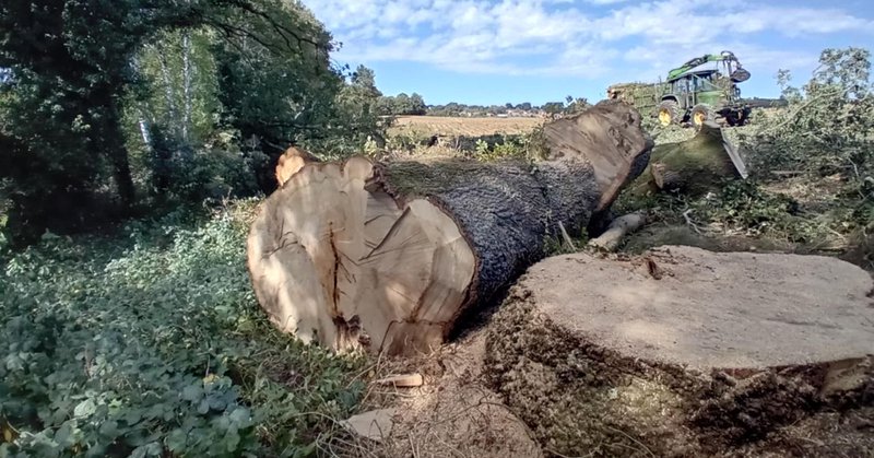 Tweet card summary image