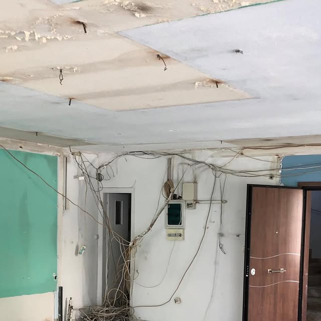 OracleDesignCon's tweet card. Oracle Design & Construction (@oracle_design_official) • Instagram photos and videos